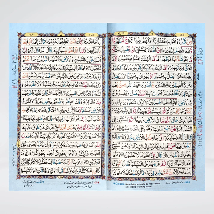 Color Coded 16 Lines Tajweed Quran – High Quality Art Paper (Hardcover) - Image 5
