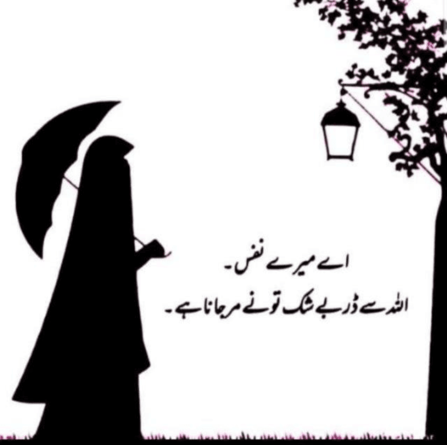 خزینہ شہزادی
