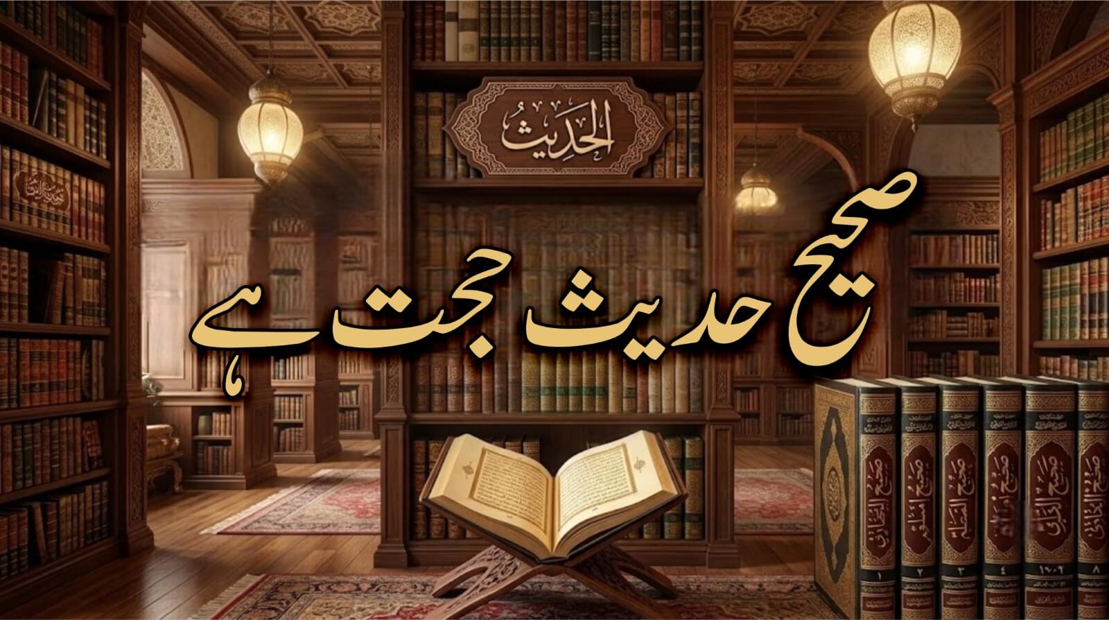 صحیح حدیث حجت ہے